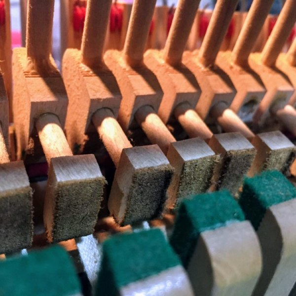 izmjena fnger koze na pijaninskoj meh prije glazbala jantolek